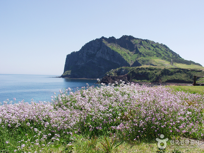 Seongsan Ilchulbong Peak [UNESCO World Heritage]