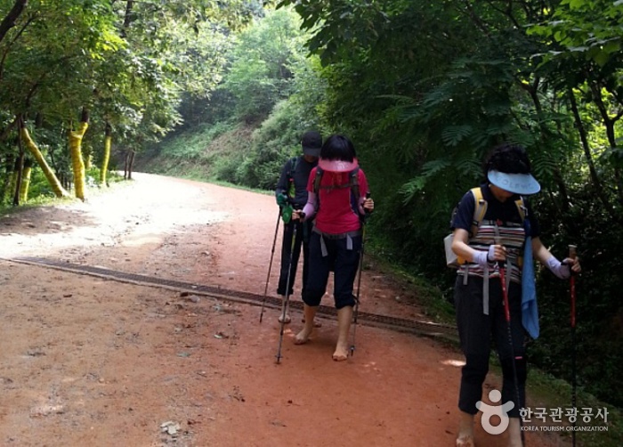 Wanderweg aus rotem Lehm am Berg Gyejoksan (계족산 황톳길)2