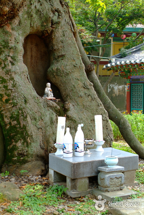 Yonggungsa Temple (Incheon) (용궁사 - 인천)