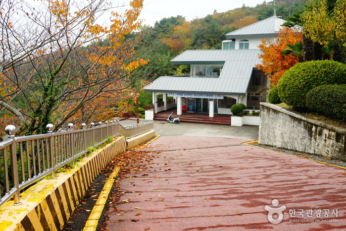 Centro Juvenil del Monte Geumnyeonsan de Busan (부산광역시 금련산청소년수련원)