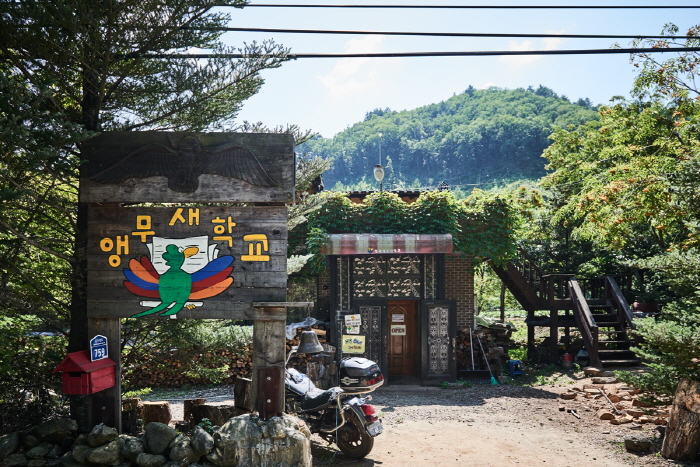 韩国鹦鹉学校(한국앵무새학교)