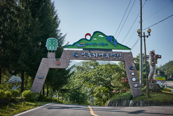 청송 자연휴양림 퇴적암층 (청송 국가지질공원)