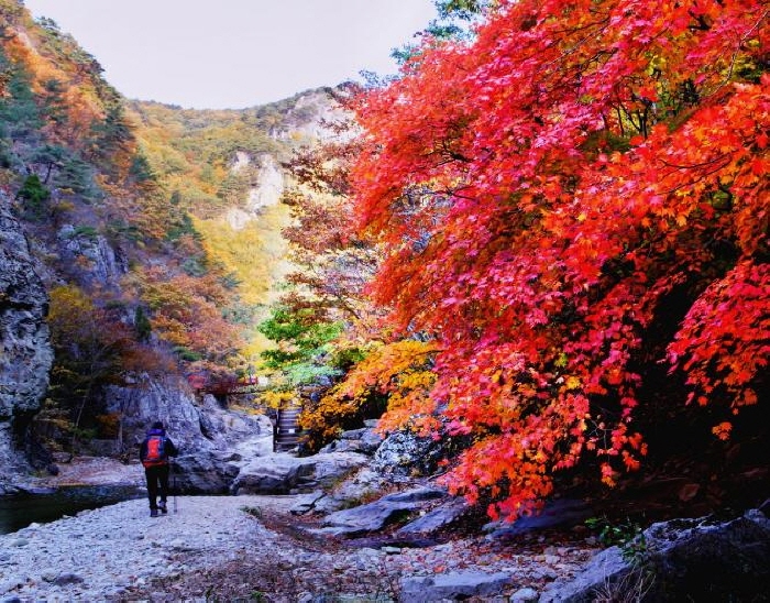 Jeolgolgyegok Valley [National Geopark] (절골협곡 (청송 국가지질공원))