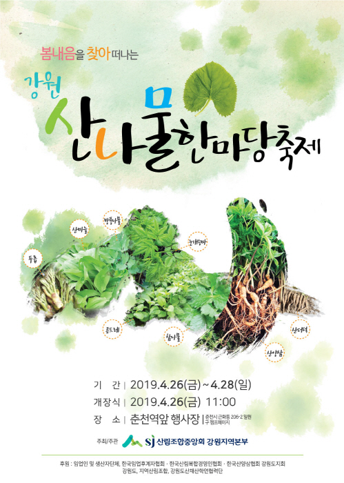 강원 산나물한마당축제 20191
