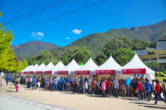 문경사과축제5
