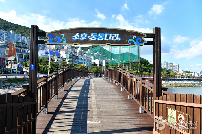 소호요트마리나 / 소호요트경기장0