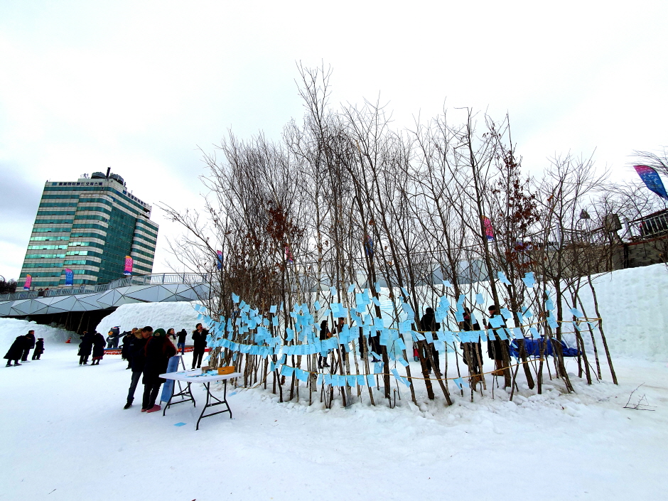 Фестиваль снега в Тэгваллёне (대관령눈꽃축제)