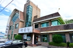벽오동