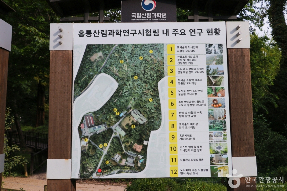 홍릉수목원