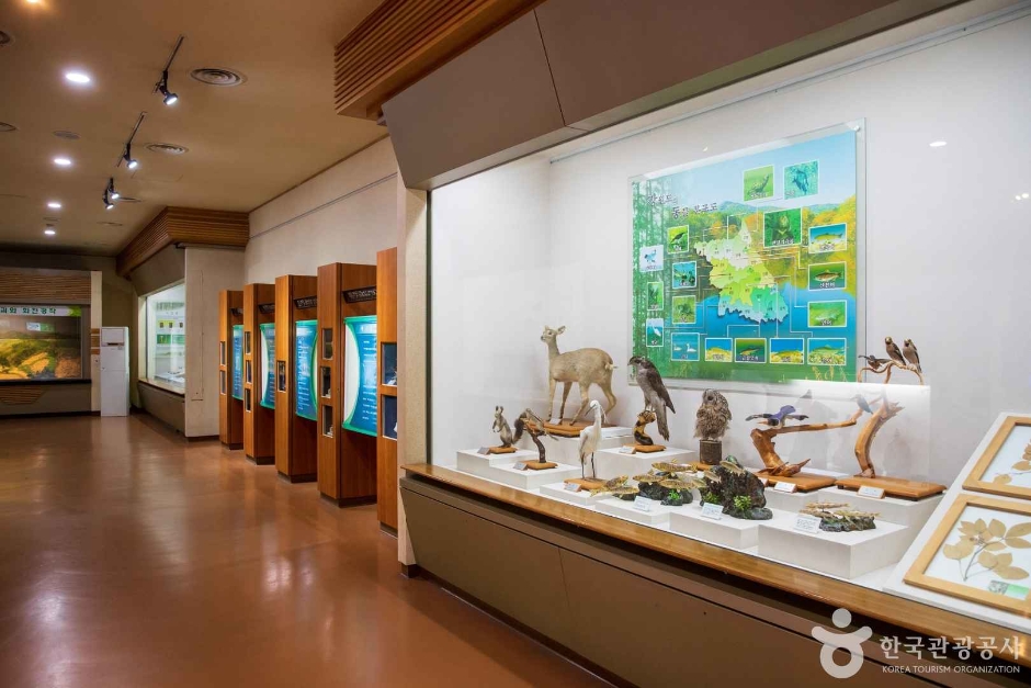 thumbnail-강원특별자치도립화목원-23