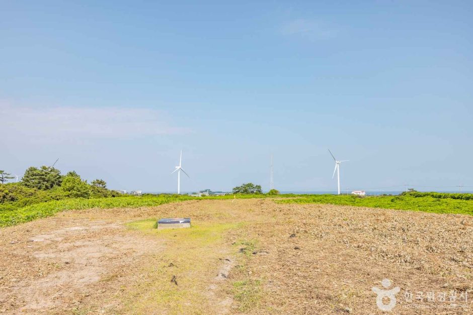 제주 당처물동굴 [유네스코 세계자연유산]