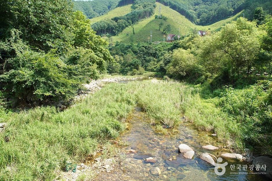 지암계곡