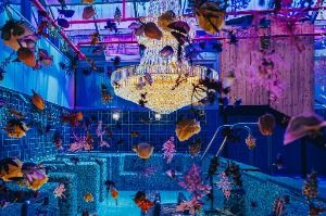 Jeju Waterworld (제주워터월드)