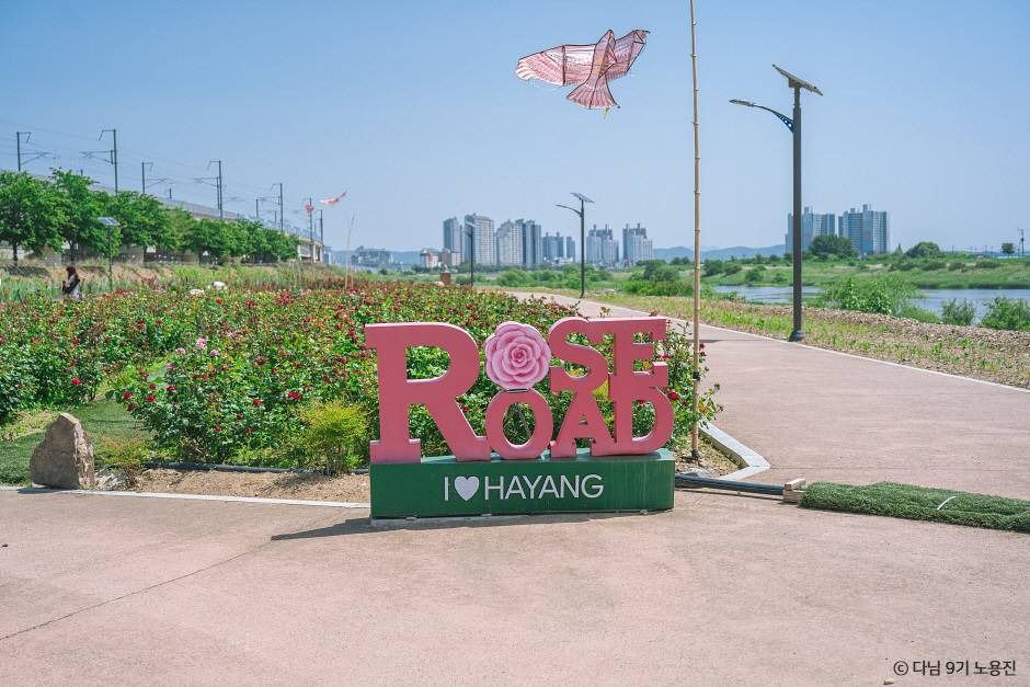 경산 하양경관농업단지