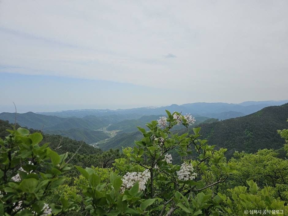 쉰움산