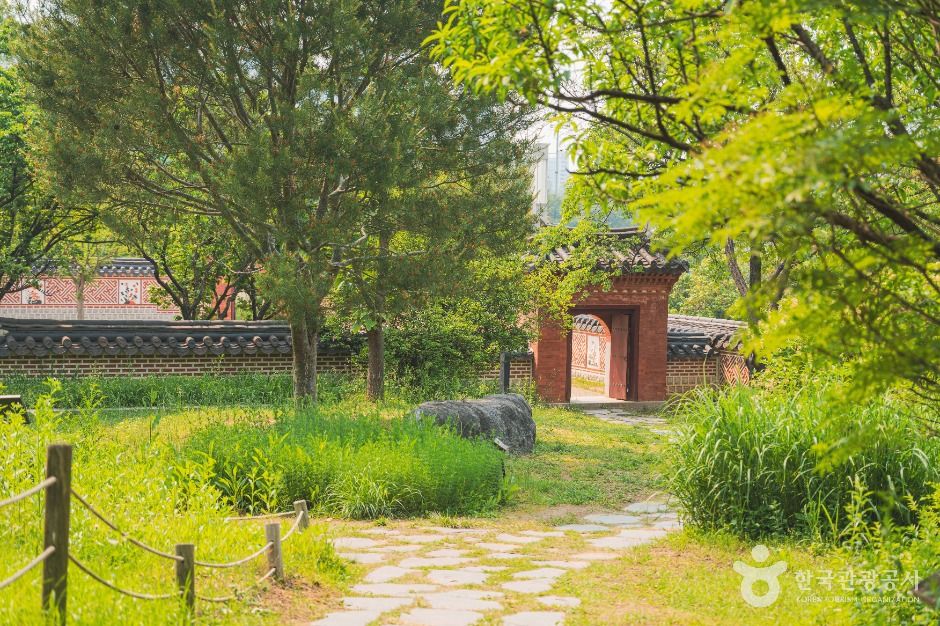 국립중앙박물관 전통염료식물원
