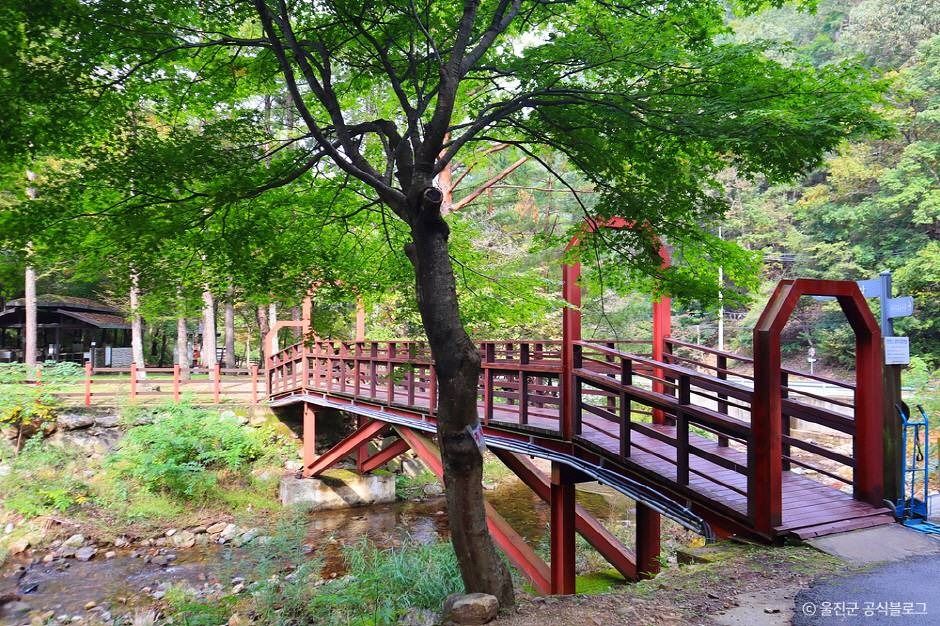 국립 통고산자연휴양림