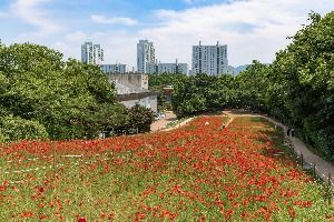 서울_올림픽공원 들꽃마루 (3)