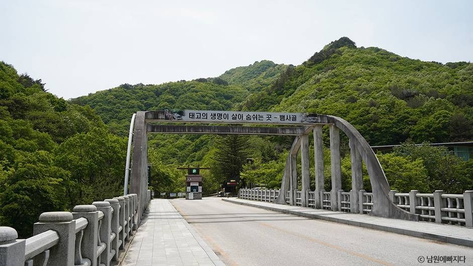뱀사골계곡