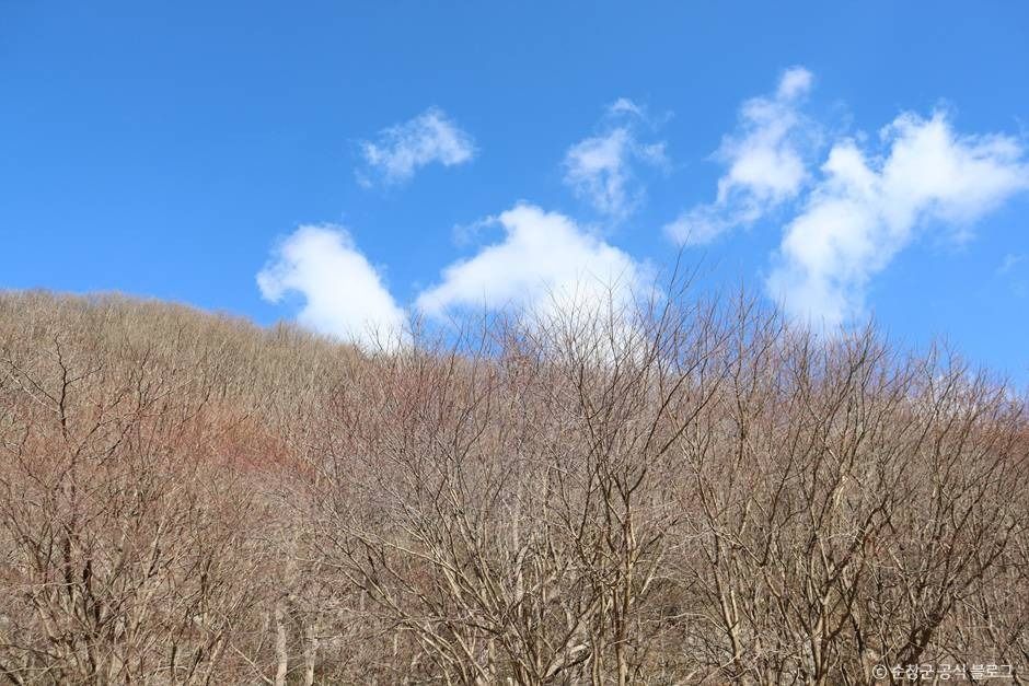 국립 회문산자연휴양림