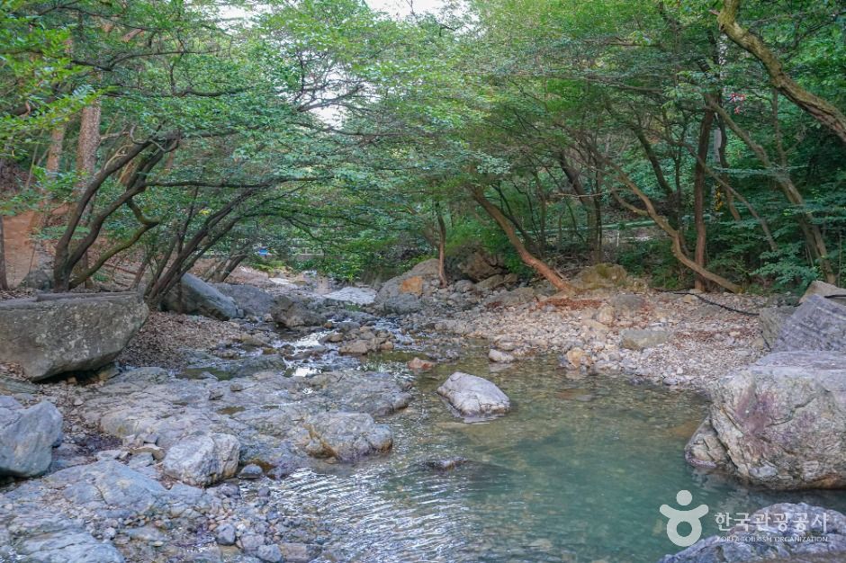 장유대청계곡