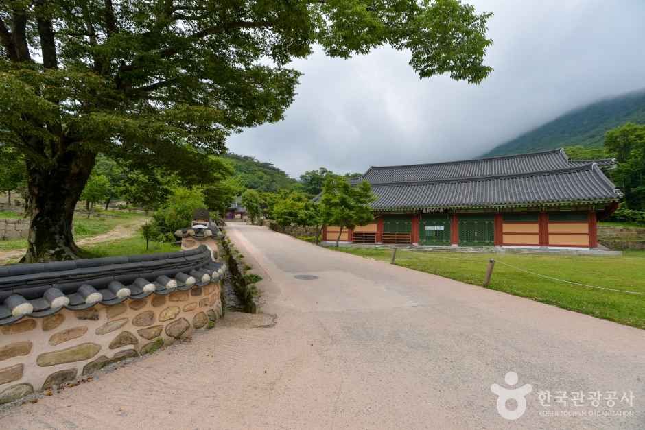 대흥사 [유네스코 세계유산]