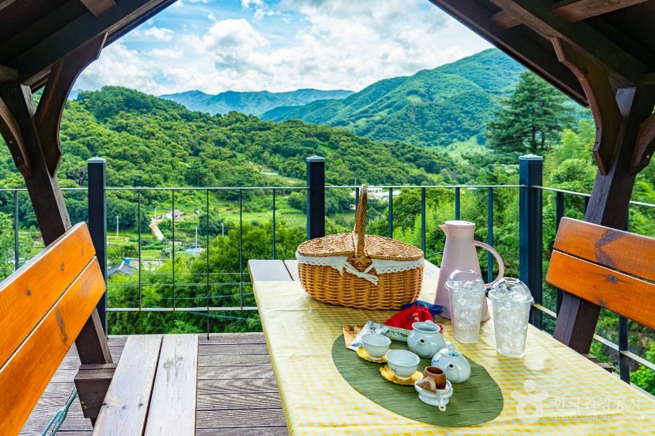하동_도심다원 (10)