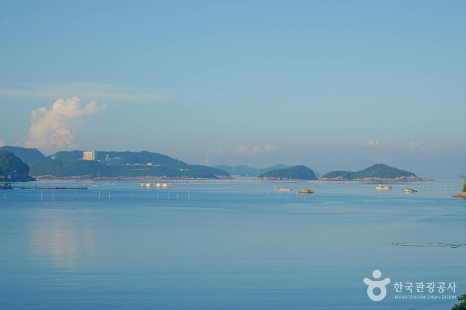 진도_접도 (6)