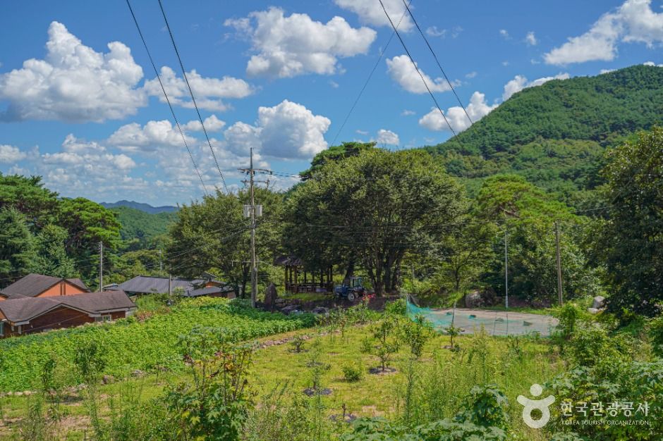 다옴농촌체험휴양마을