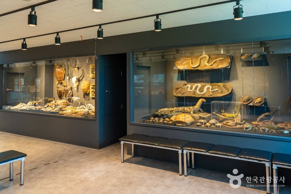 은산어울림생태박물관