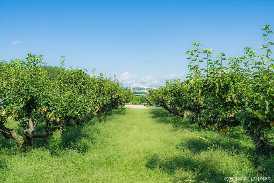 과일나라테마공원