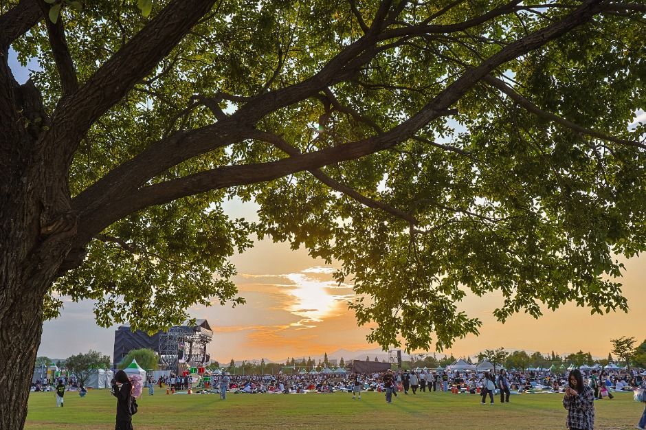 부산국제록페스티벌