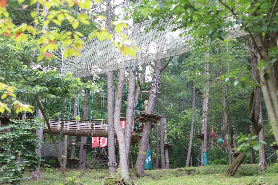 thumbnail-놀자숲-22