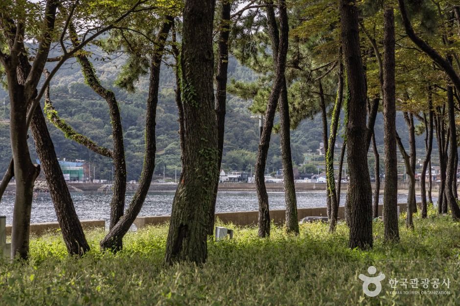 두곡월포해수욕장