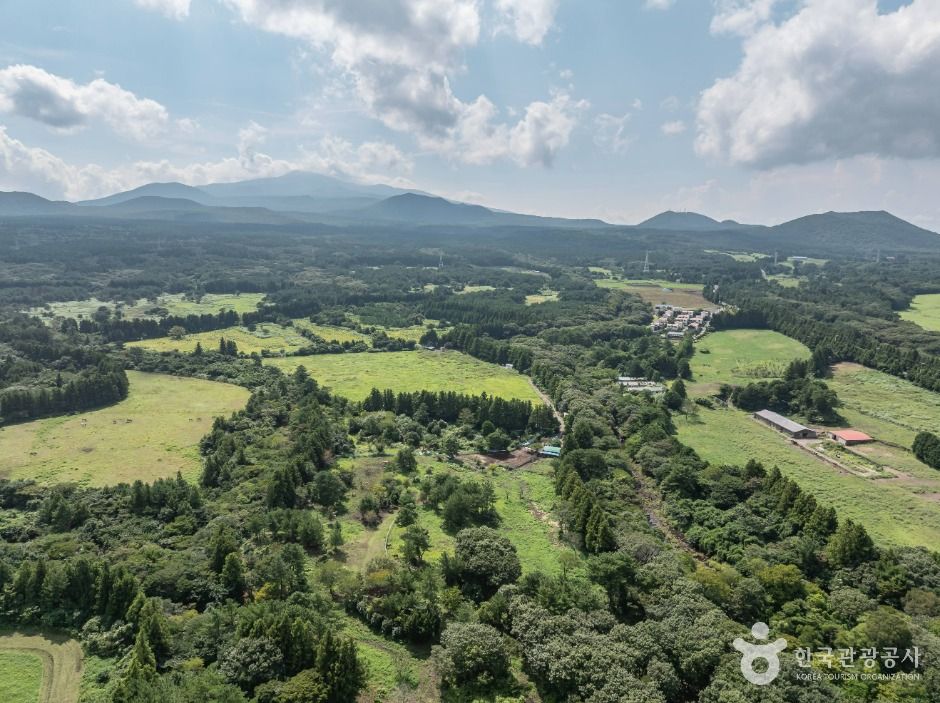 교래 삼다수마을
