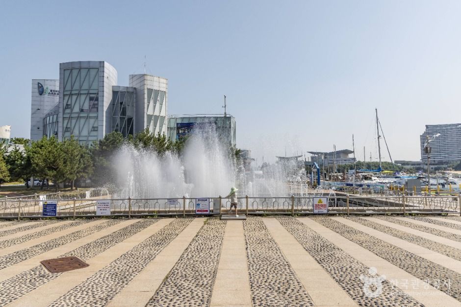 thumbnail-음악분수 휴게광장-4