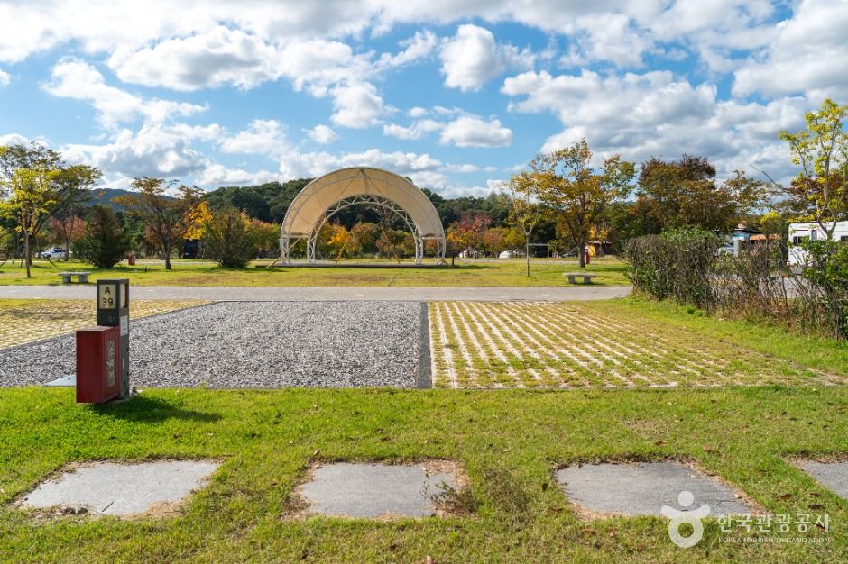 thumbnail-목계솔밭(충주)-3