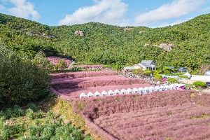 고창_꽃객프로젝트 (3)