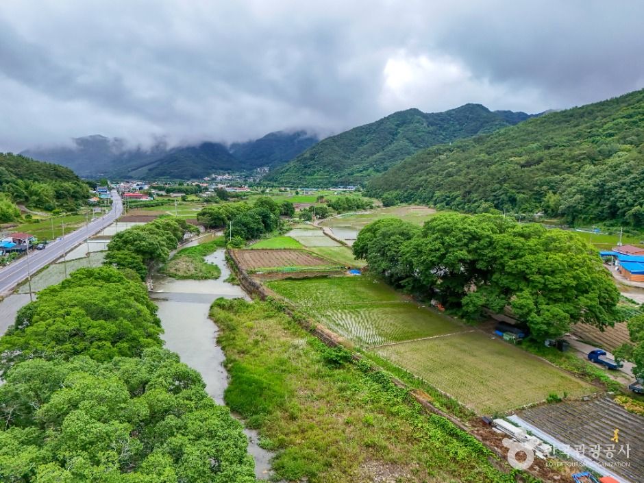 창원_거락계곡 (5)