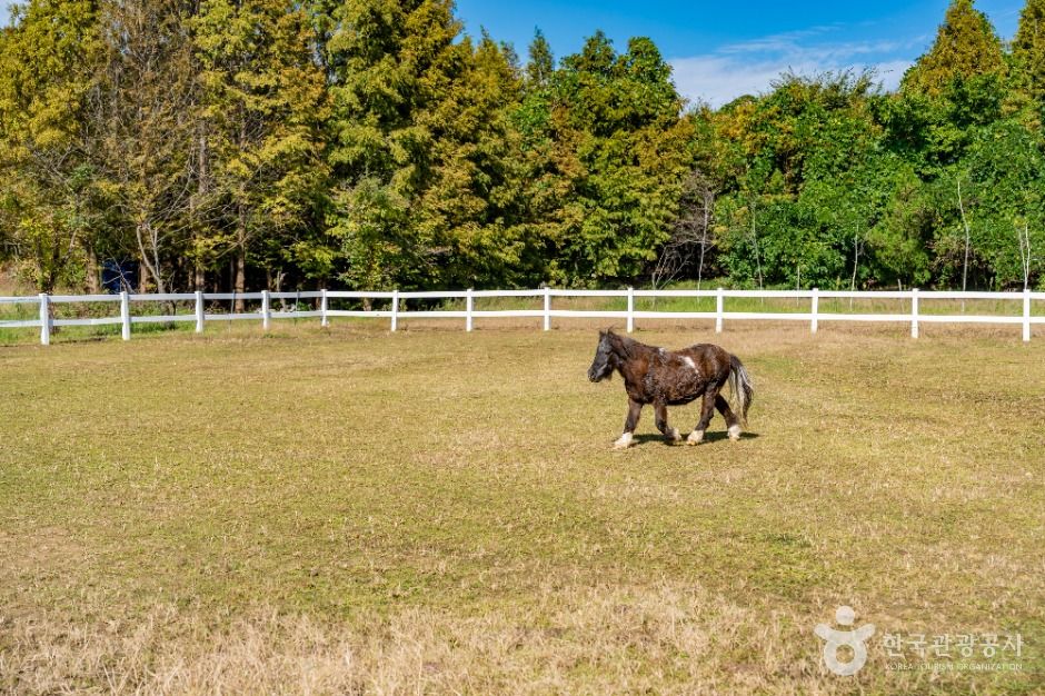 화성_드림아트스페이스 (9)