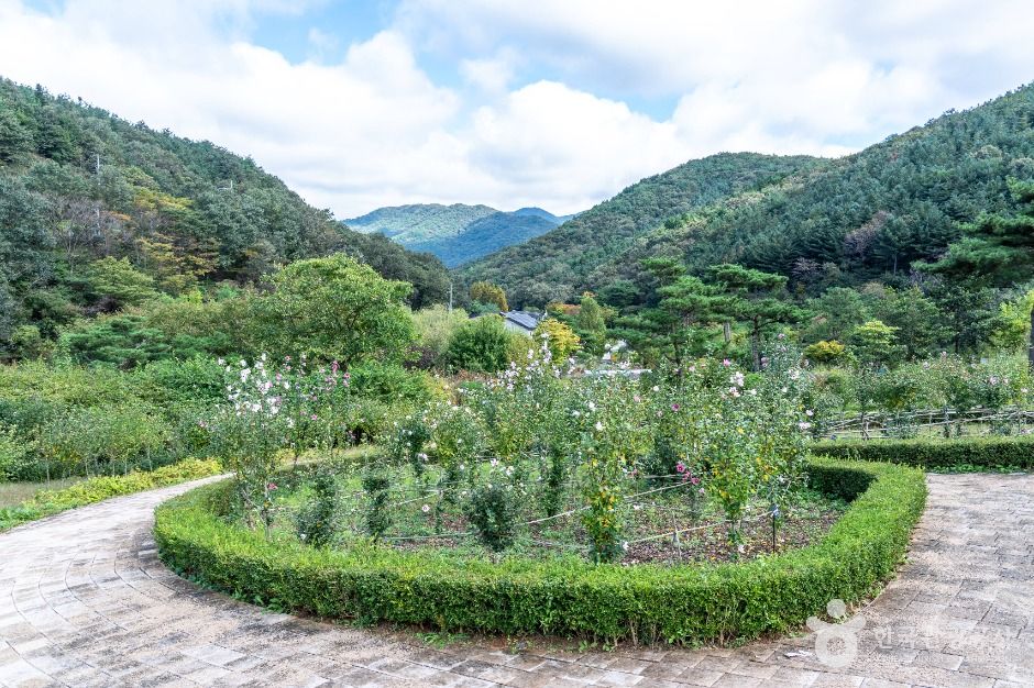 보령 무궁화수목원