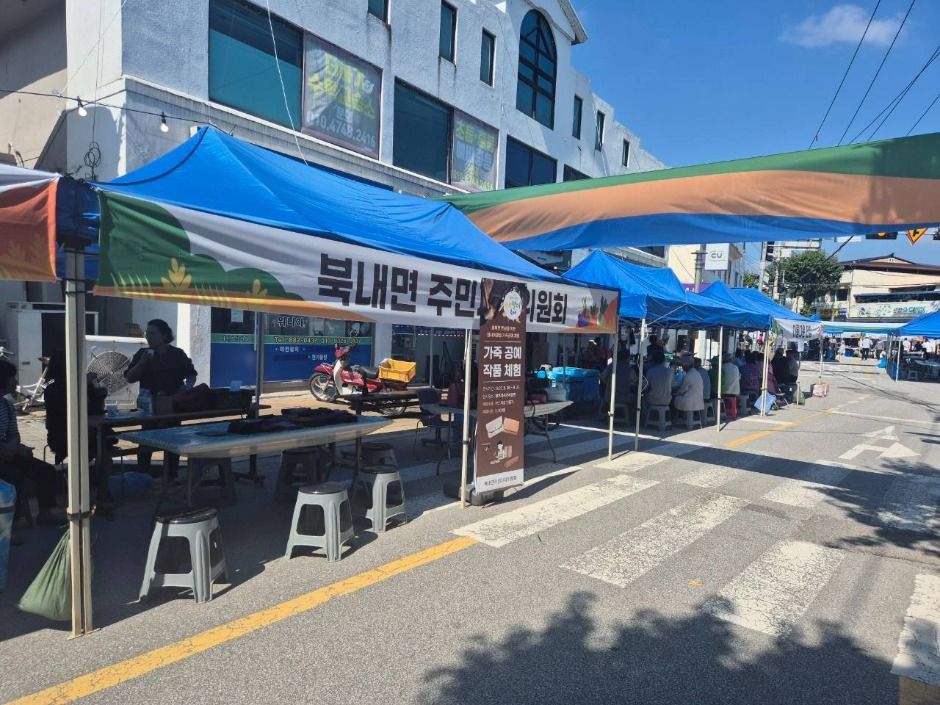 북내 금당천 삼색별미축제