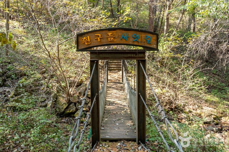 제천_덕동생태숲 (4)