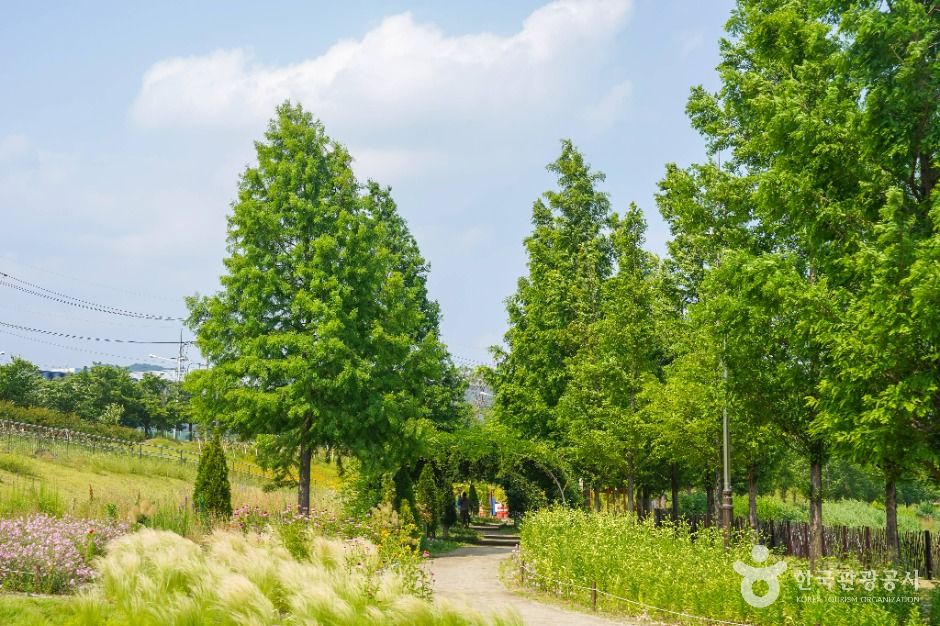 대구 세천늪테마정원