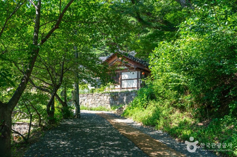 영천_거동사 (1)