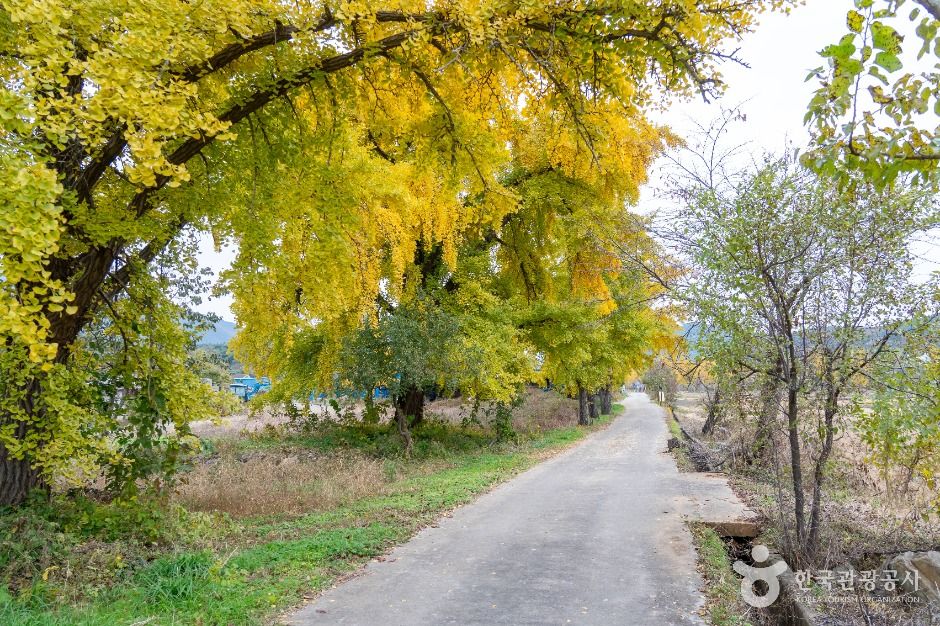 청라 은행마을 (보령)