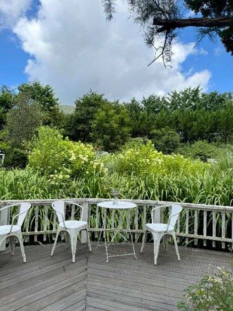 thumbnail-리리스카페-7