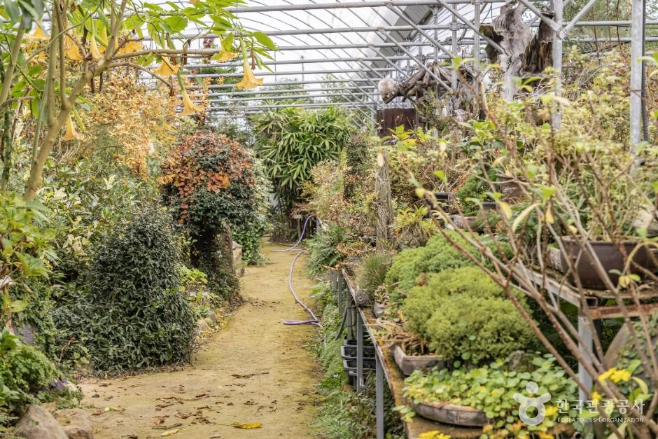 다화림식물원&치유정원