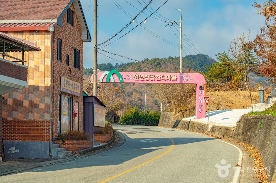 원연장 꽃잔디마을