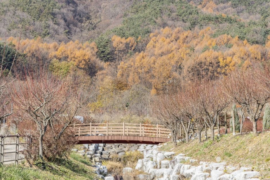 진안_고원화목원 (7)